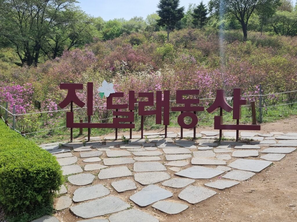 진달래동산